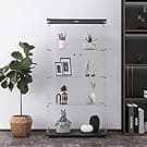 Syngonium Syndicate 💚