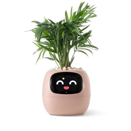 Plant stuff