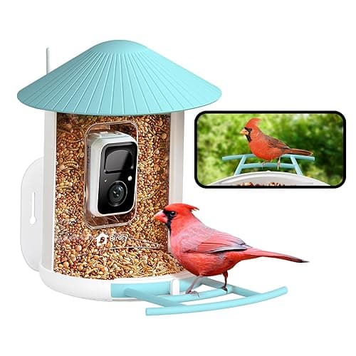 Imported Amazon Wishlist