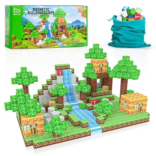 My son's Christmas gift