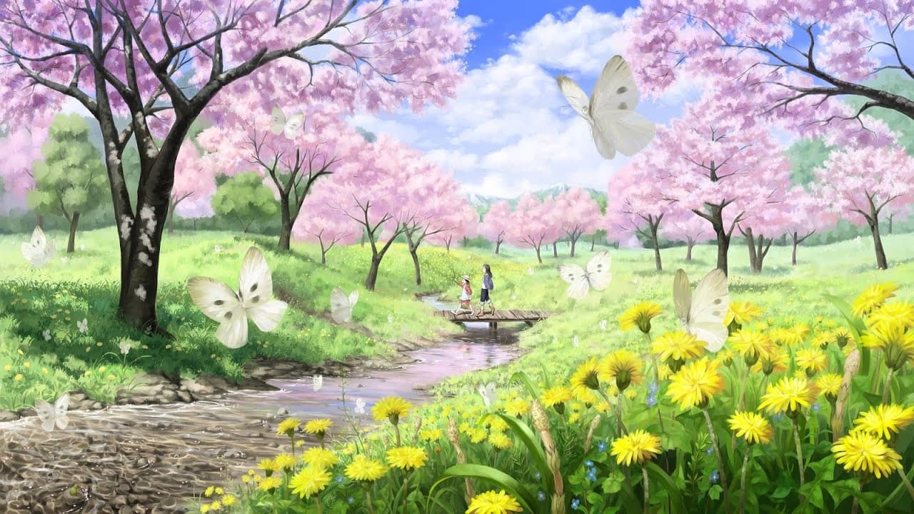 Background picture of kiku