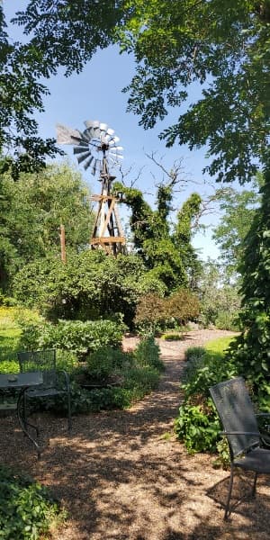 Background picture of Lexus Lane