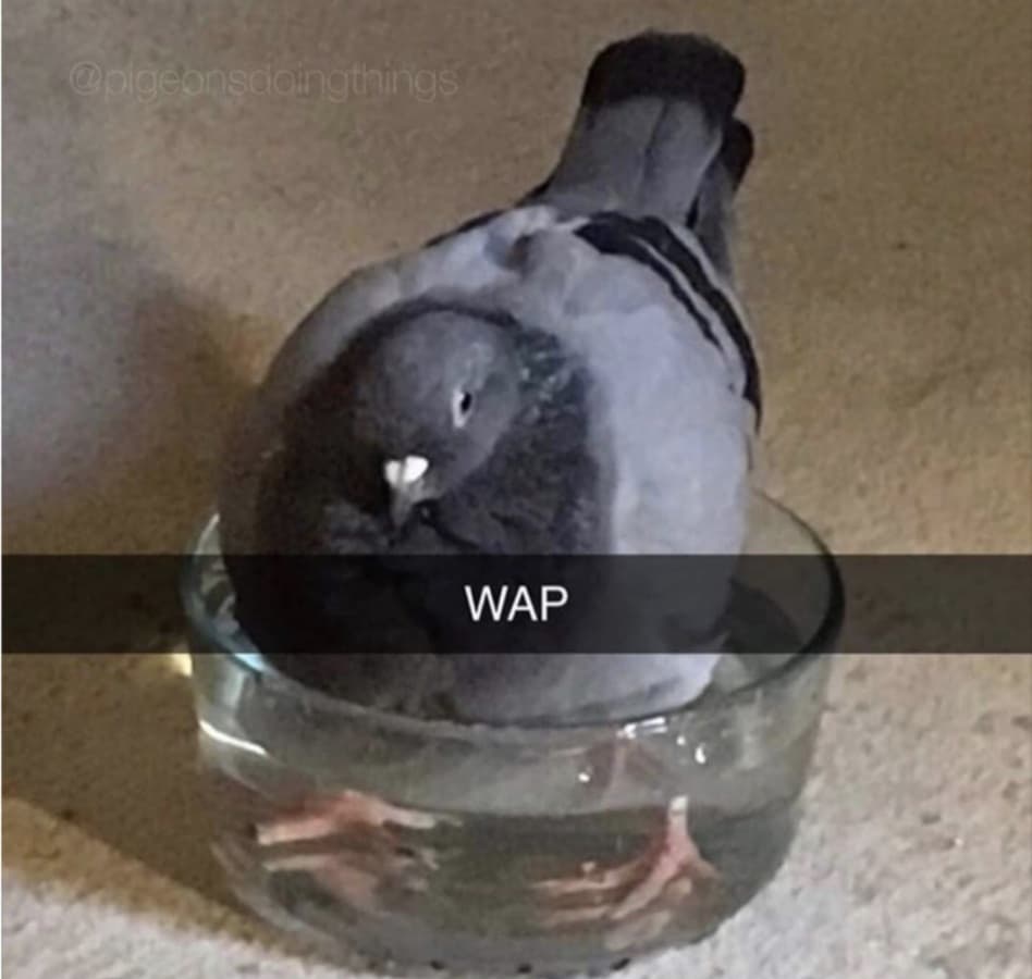 Background picture of Loukiw