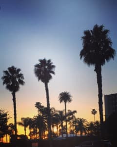 Background picture of itsILA