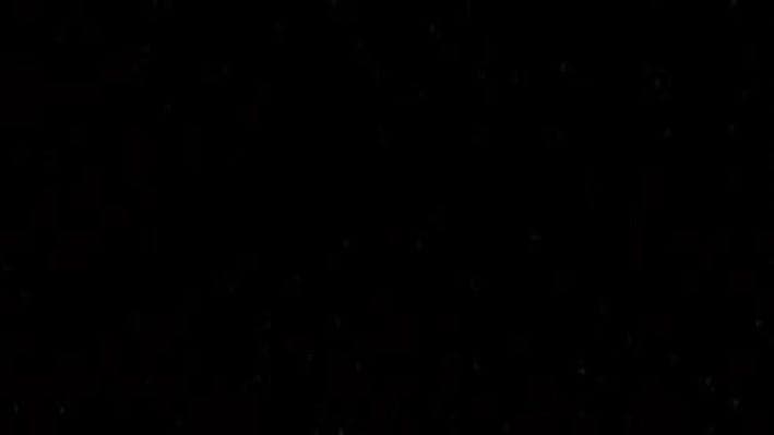 Background picture of APrettyPetKitty