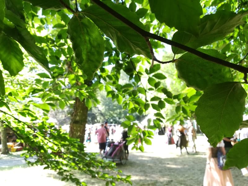 Background picture of Aen Ani ASMR