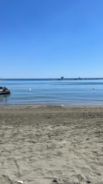 Background picture of Sophie Snazz