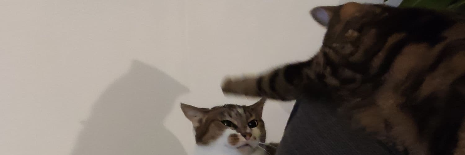 Background picture of madsfive