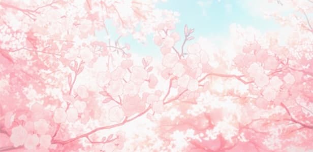 Background picture of MIMI