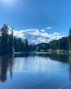 Background picture of TinyToni