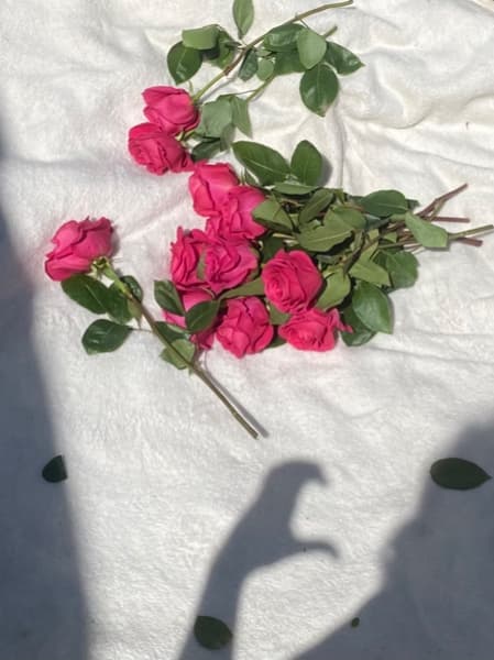 Background picture of Hazel Grace