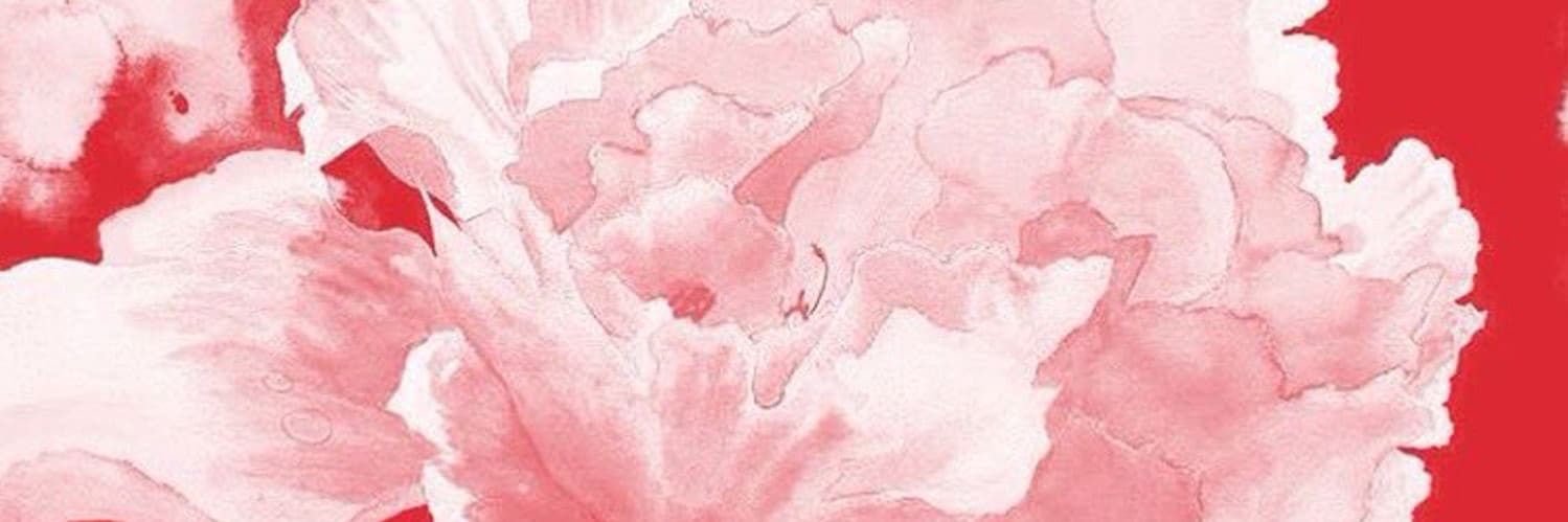 Background picture of Miko Kaga