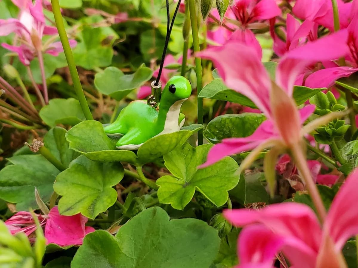 Background picture of SourBunBun