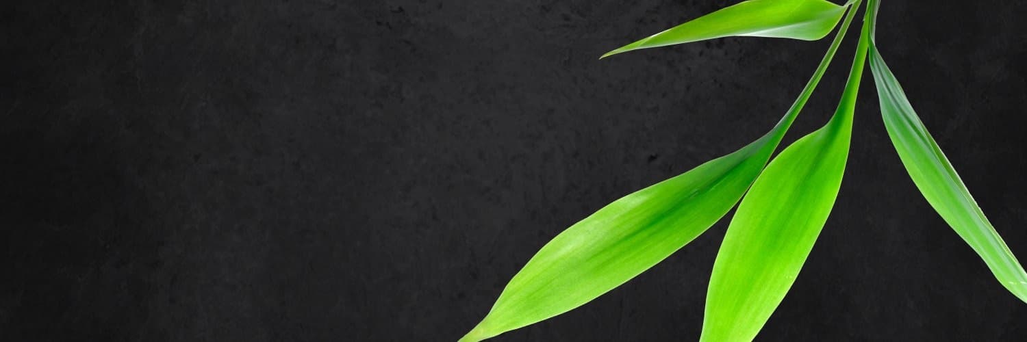 Background picture of thisismerete