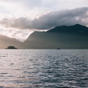 Background picture of flwrboyx