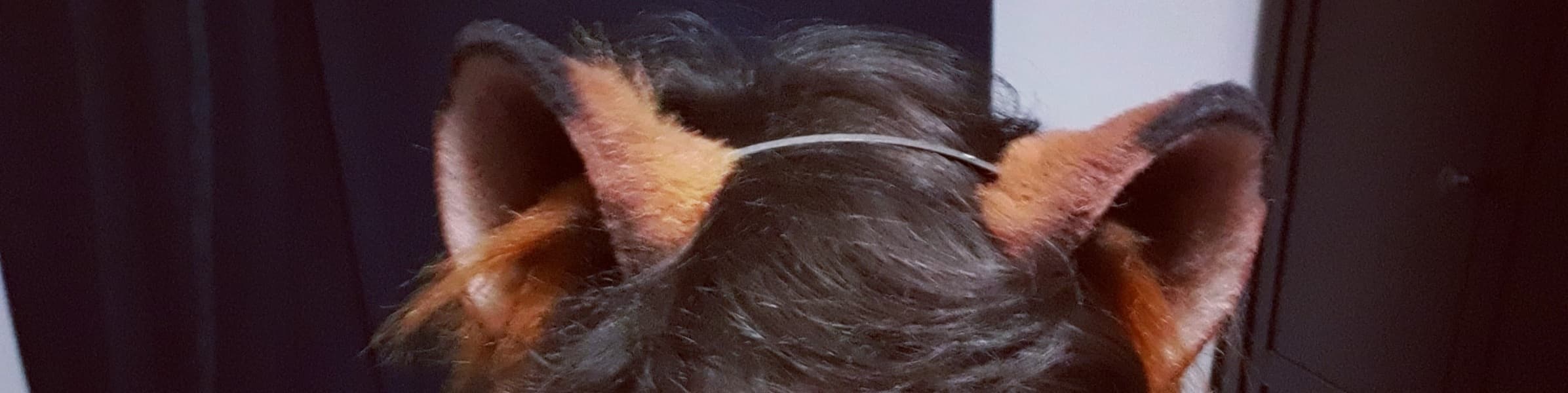 Background picture of Call_Me_Pup