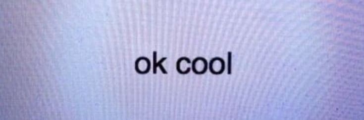 Background picture of Fawnie