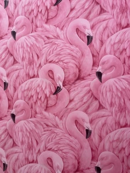 Background picture of knottynatashaaa