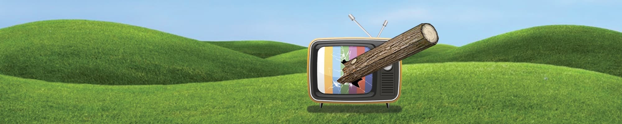 Background picture of Woodee