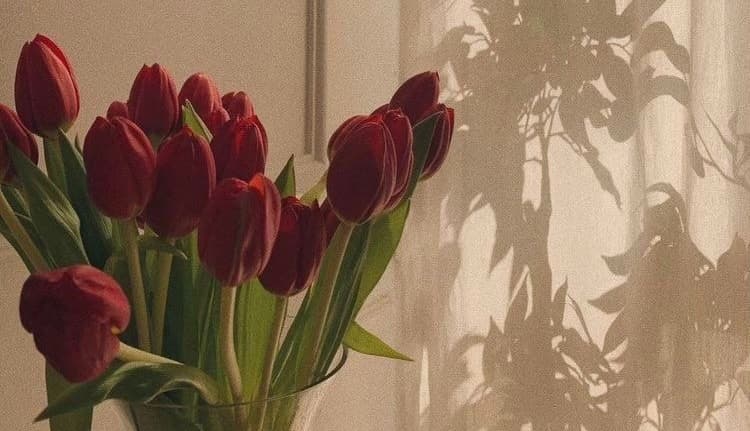 Background picture of Nia_mp4's Wishlist🤍