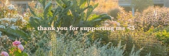 Background picture of pup asmr