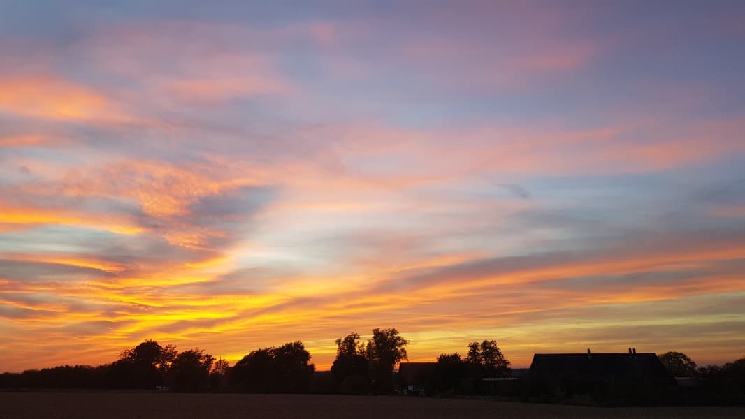 Background picture of Cali