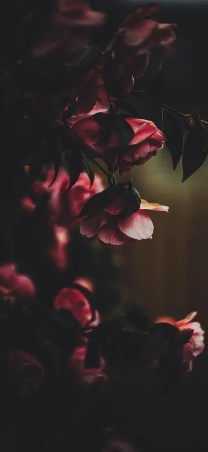 Background picture of JennaRoseNL