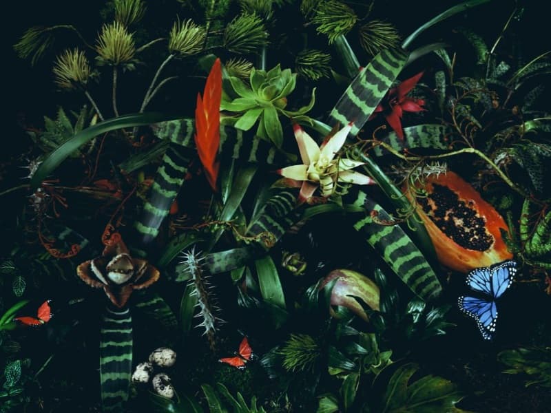 Background picture of Artemis Dune