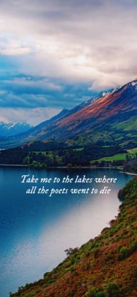 Background picture of Bun