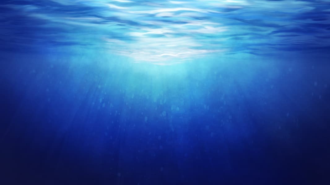 Background picture of Nana Izumi