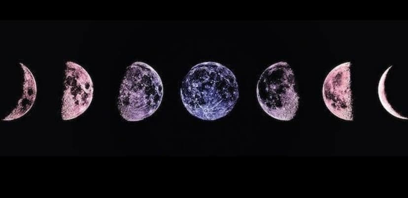 Background picture of Linny Spencer 