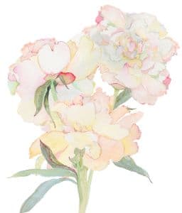 Background picture of wateremlons