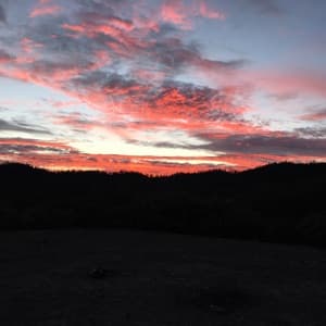 Background picture of Liz Jordan