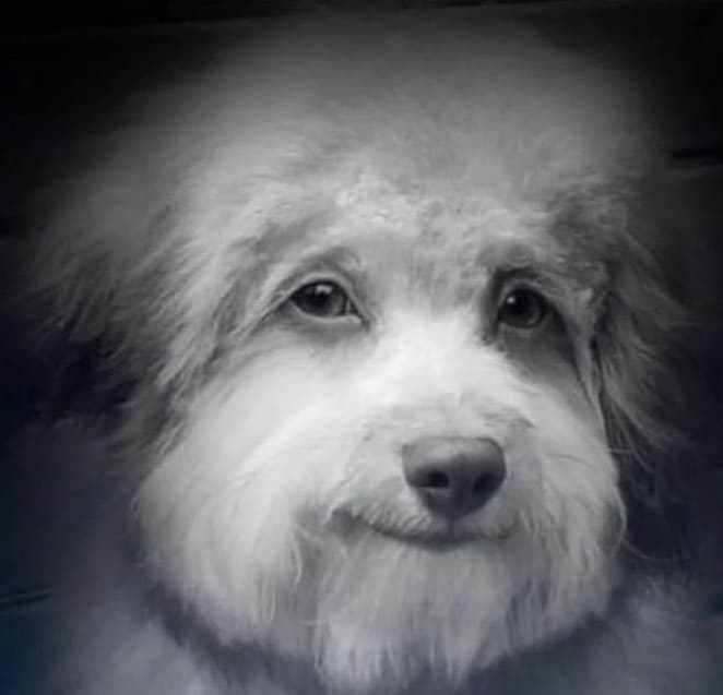 Background picture of Funky Dealer