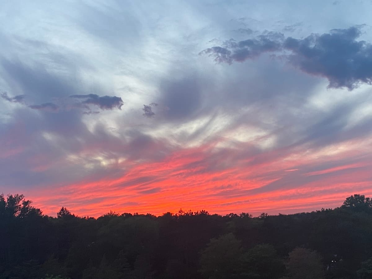 Background picture of Miss Jen