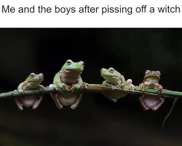 Background picture of Tacticalfroggo