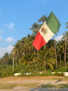 Background picture of Senorita Gordita