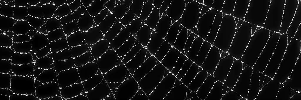 Background picture of Ry Gravez