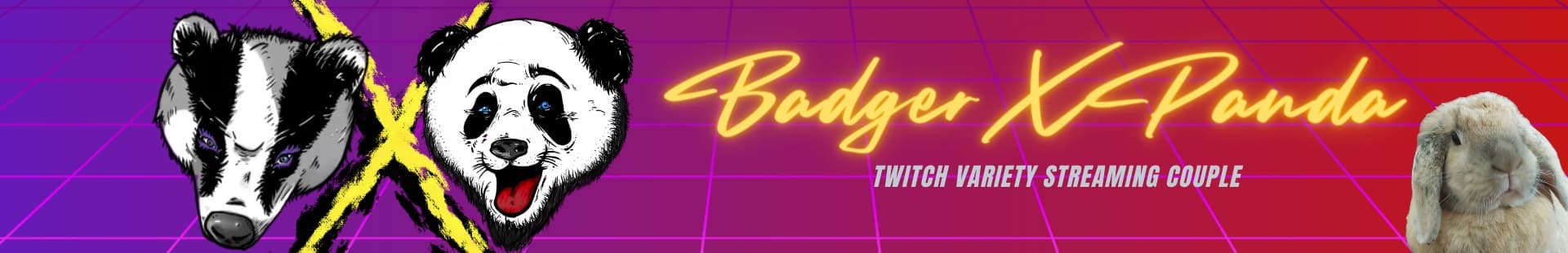 Background picture of BadgerXPanda