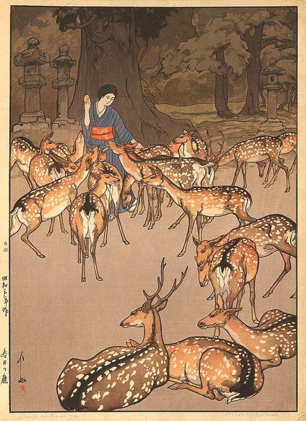 Background picture of fern