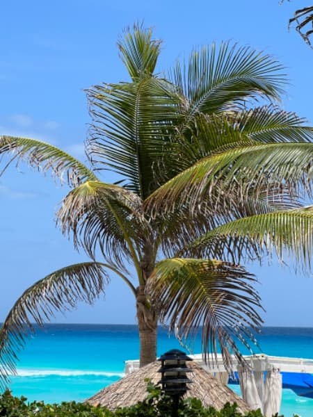 Background picture of brooke