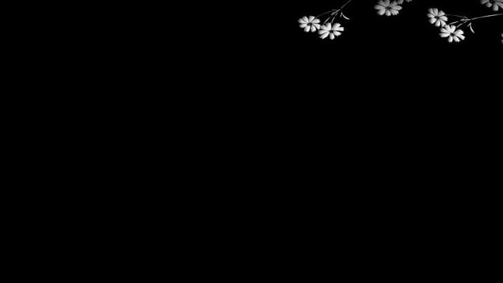 Background picture of koko