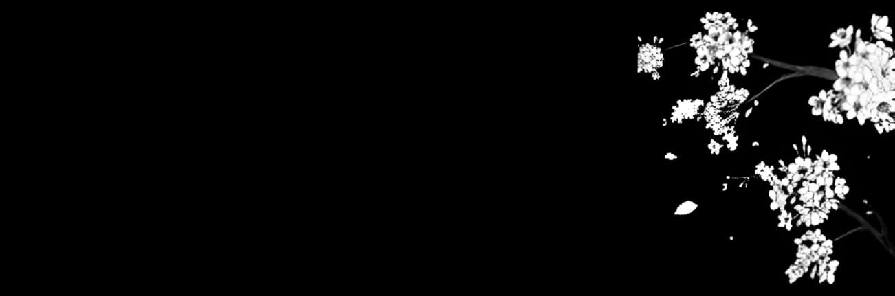 Background picture of miles