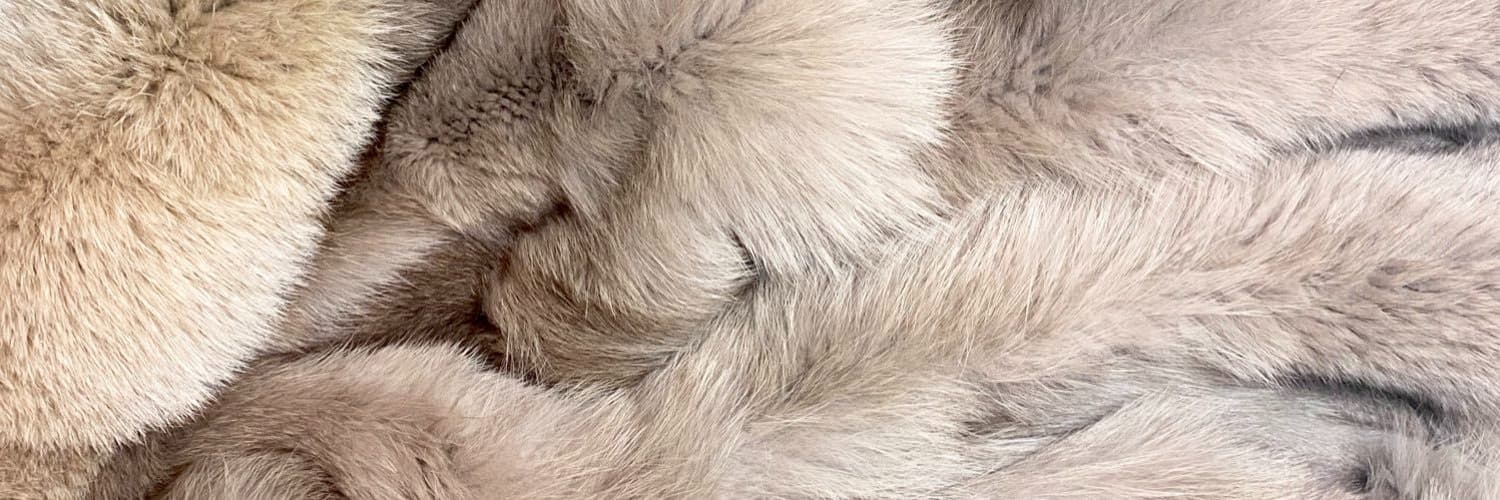 Background picture of Paisley