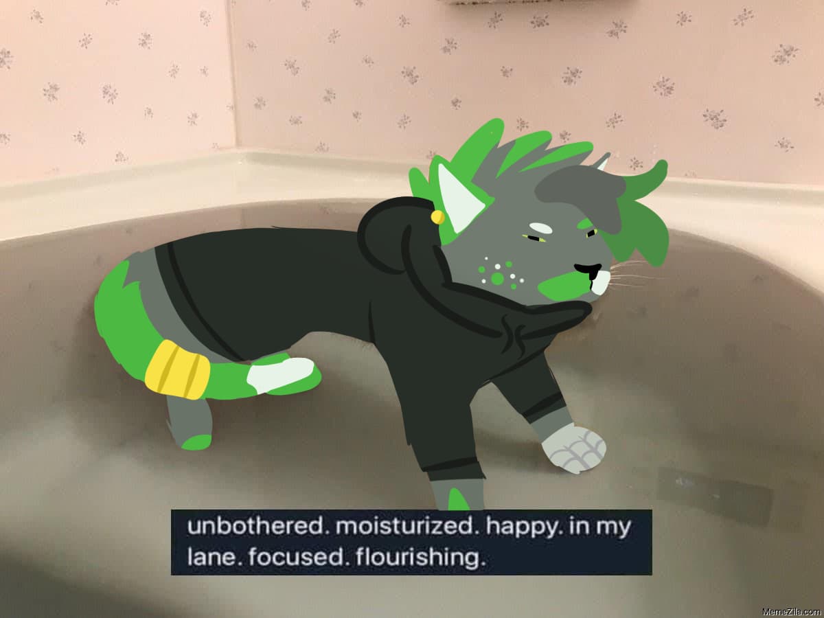 Background picture of Kitty Acelia