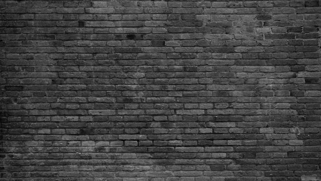 Background picture of Mircea