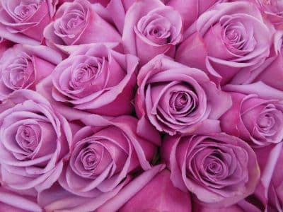 Background picture of AuthorSSD