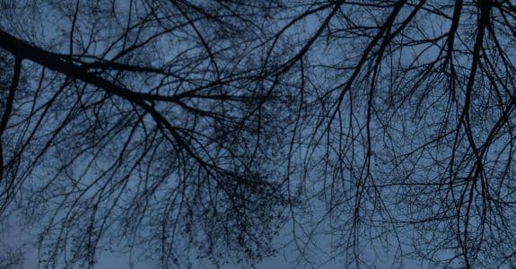 Background picture of Netherite hoe ♡