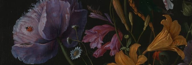 Background picture of Amalia V