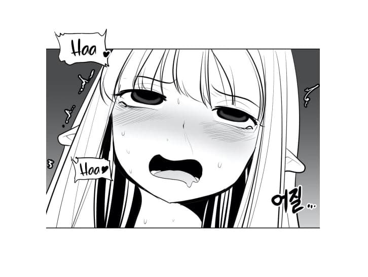 Background picture of Lucca